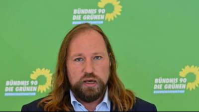 Anton Hofreiters S&auml;ugling ist bereits "Videokonferenz-Profi"
