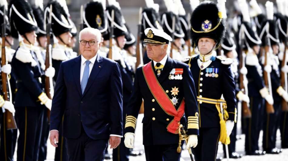 Steinmeier betont Partnerschaft mit Schweden bei Klimapolitik