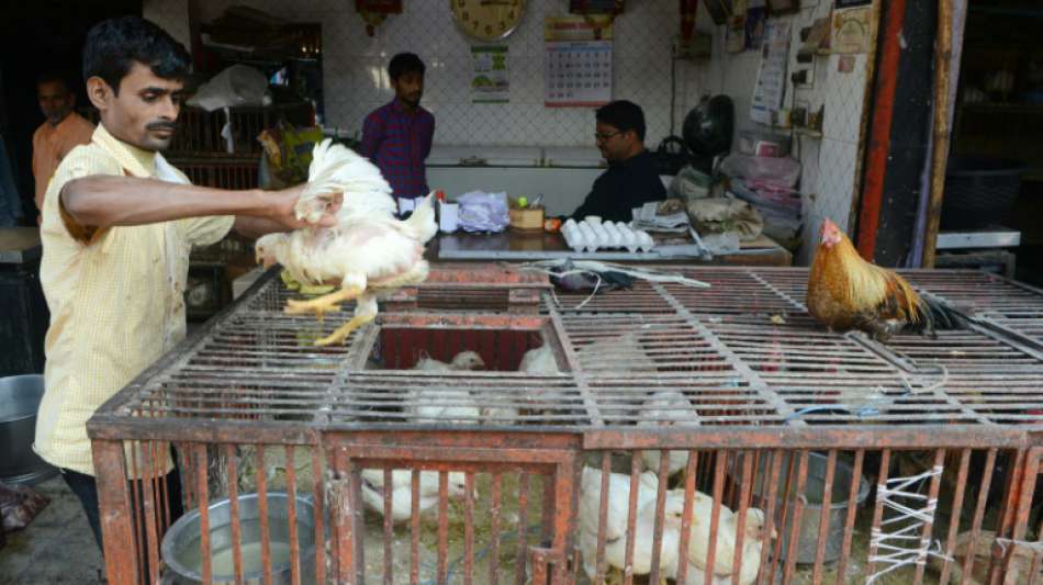 Gerüchte über Corona-Hühnchen: Umsatz in Indien bricht um 80 Prozent ein 