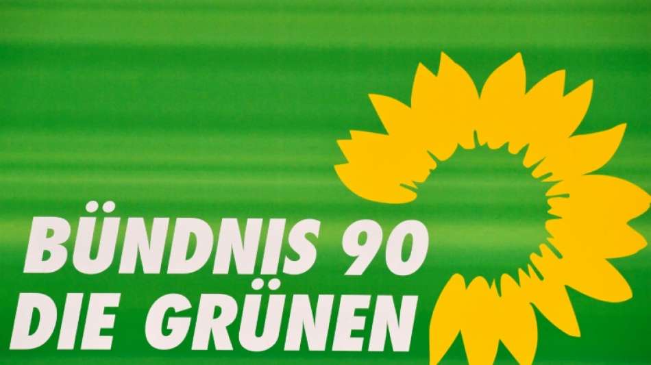 Grüne in Baden-Württemberg wählen Schwelling und Haggenmüller zu Vorsitzenden