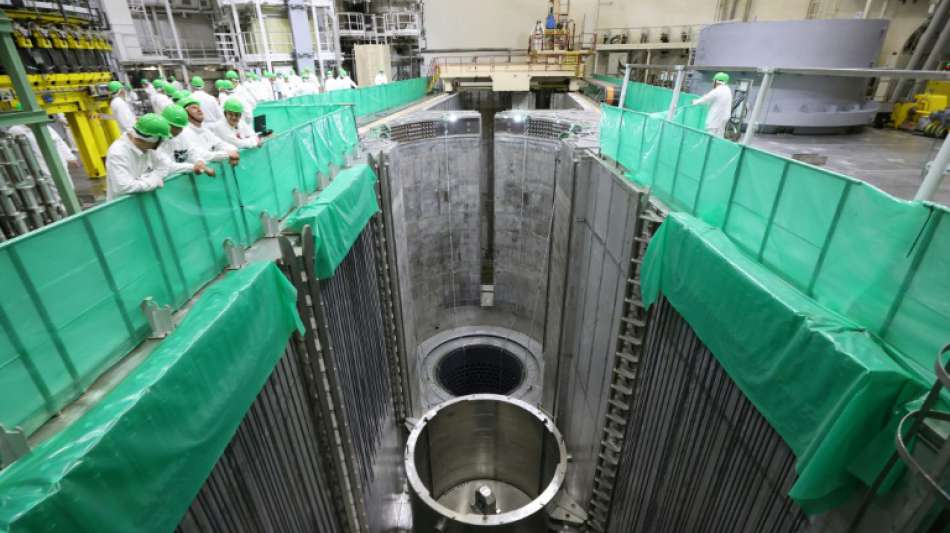EU-Parlament kritisiert "&uuml;bereilte" Inbetriebnahme von Atomkraftwerk in Belarus