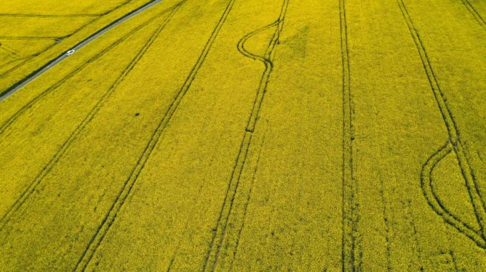 2020 Rekordeinsparung von Treibhausgasen durch Biokraftstoffe