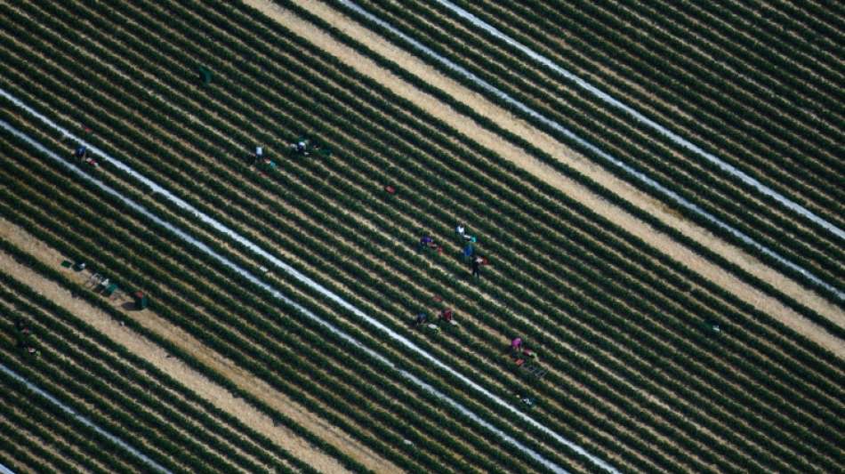 Scholz, Heil und DGB wollen Ausbeutung ausl&auml;ndischer Arbeitskr&auml;fte eind&auml;mmen