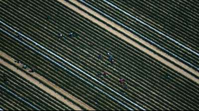 Scholz, Heil und DGB wollen Ausbeutung ausl&auml;ndischer Arbeitskr&auml;fte eind&auml;mmen