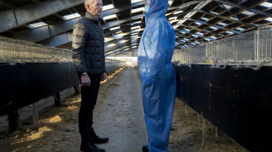 D&auml;nemark will Nerz-Z&uuml;chter mit Milliardenzahlungen entsch&auml;digen