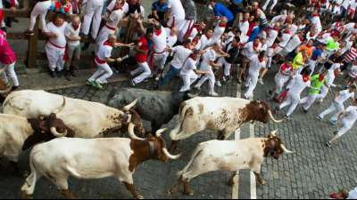 Regionalregierung: Stiertreiben in Pamplona kann auch dieses Jahr nicht stattfinden