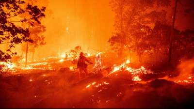Rekordfläche durch Waldbrände in Kalifornien verwüstet