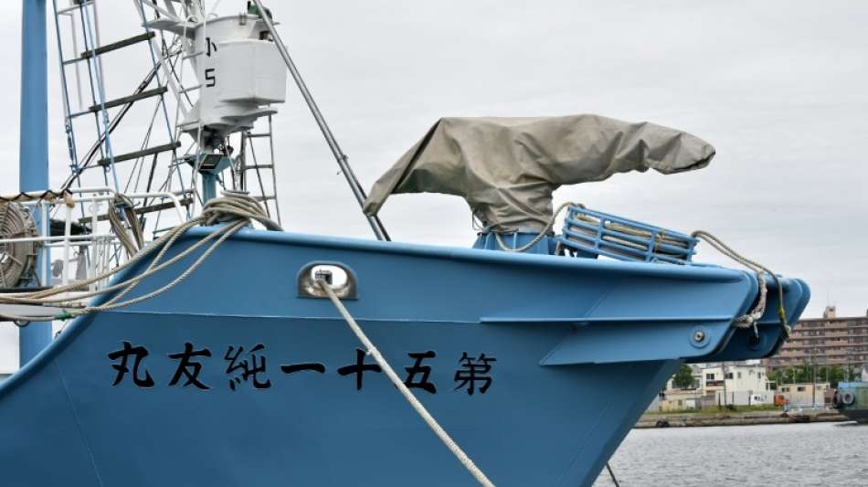Artenschutz? Japan nimmt kommerziellen Walfang wieder auf
