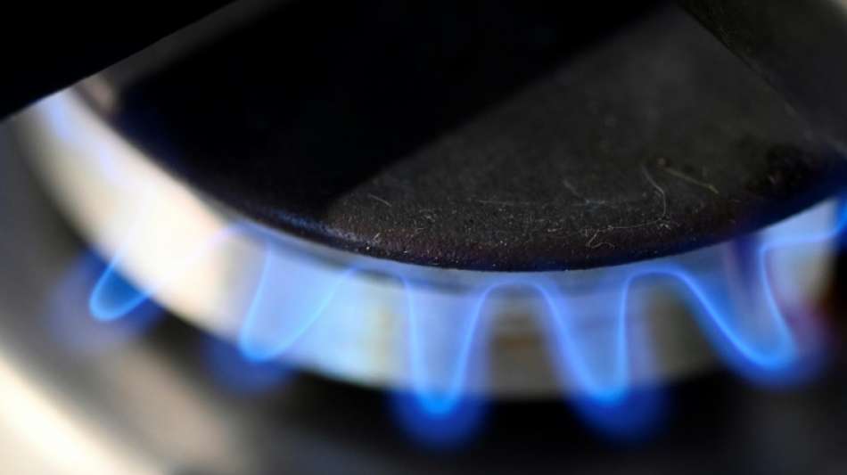 Habeck verteidigt Energieimporte aus Russland zur Wahrung der Energiesicherheit