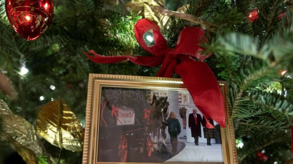 Trump kehrt ins Weiße Haus zurück - auf einem Foto an Bidens Weihnachtsbaum