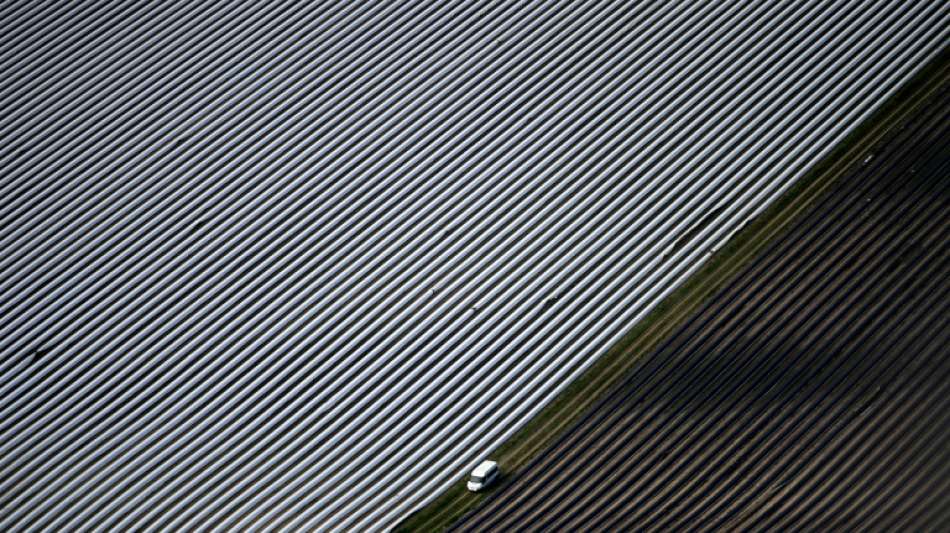 Ernteanteil von &Ouml;ko-Gem&uuml;se steigt 