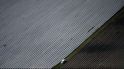 Ernteanteil von &Ouml;ko-Gem&uuml;se steigt 