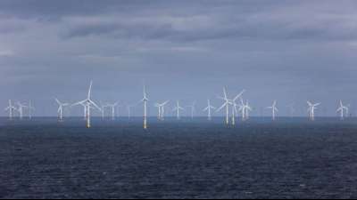Deutschland bei Nutzung erneuerbarer Energien unter EU-Durchschnitt