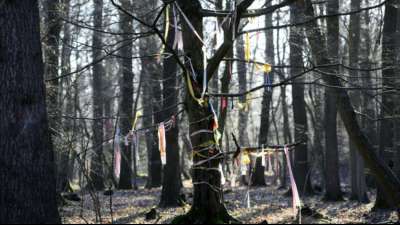 Protestcamp am Hambacher Forst muss ger&auml;umt werden