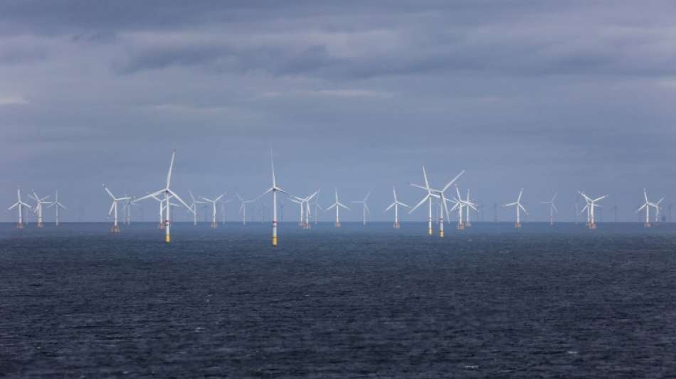 Bundesbeh&ouml;rde plant mehr Fl&auml;chen f&uuml;r Windenergie auf See
