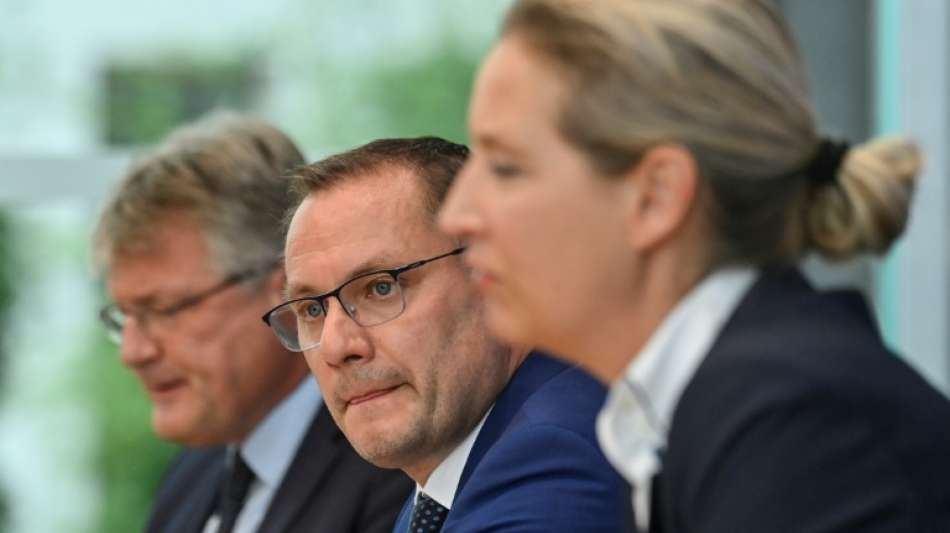 Konflikte in der AfD-Spitze nach Bundestagswahl