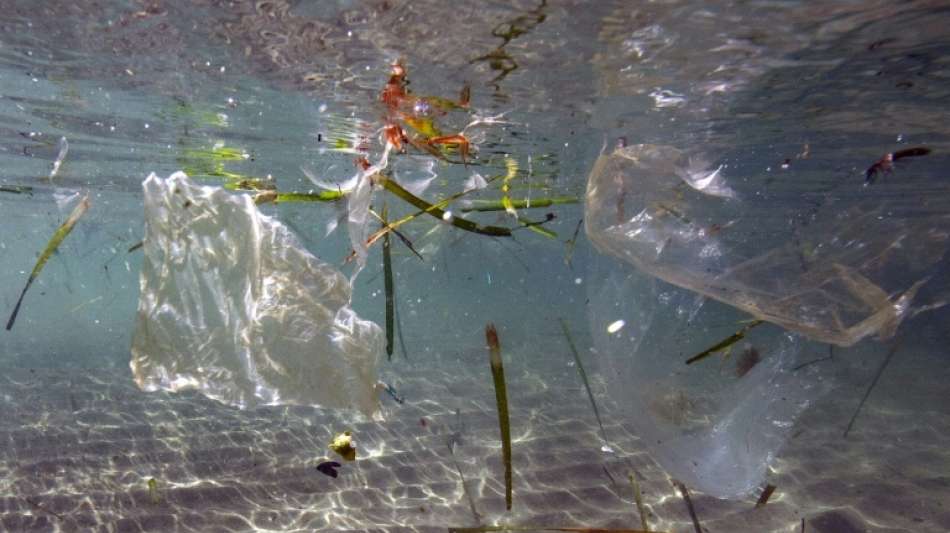 Weltweite Studie: Plastik im Meer für Westeuropäer größte Umweltbedrohung