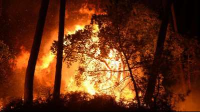 Heftiger Waldbrand in Südwestfrankreich treibt Dutzende Menschen in die Flucht
