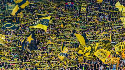 BVB bittet Fans: Meidet das Stadion!