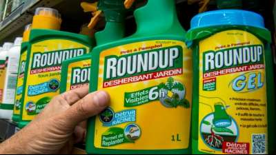 Mutter von krebskrankem Jungen verliert Prozess gegen Bayer-Tochter Monsanto