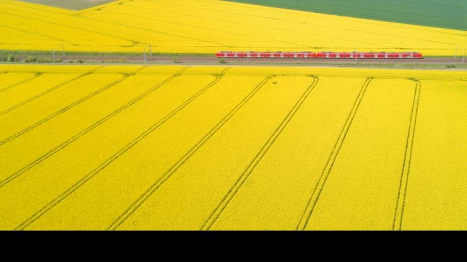 Bahn will Deutschland beim Klimaschutz 