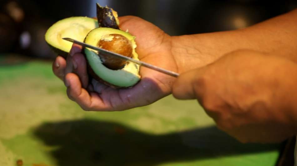 USA nehmen nach Drohanruf gestoppte Avocado-Importe aus Mexiko wieder auf