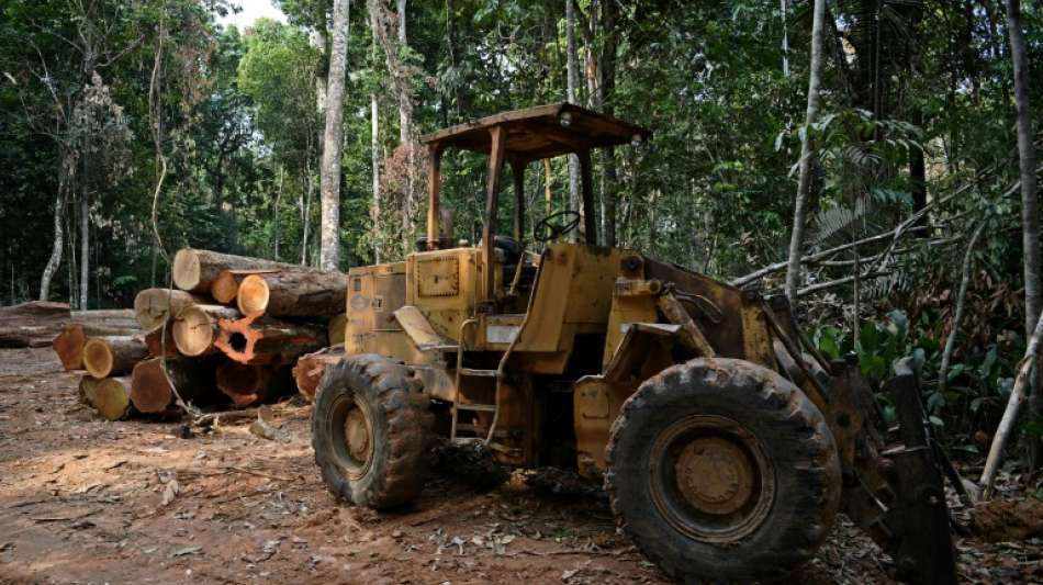 EU will Importe aus Entwaldungs-Gebieten stoppen