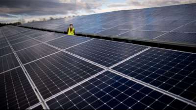 Deutsche Umweltverb&auml;nde begr&uuml;&szlig;en R&uuml;ckkehr der USA zu mehr Klimaschutz