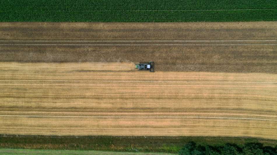 EU-Agrarminister unterst&uuml;tzen Kompromiss bei Reform der Landwirtschaftspolitik