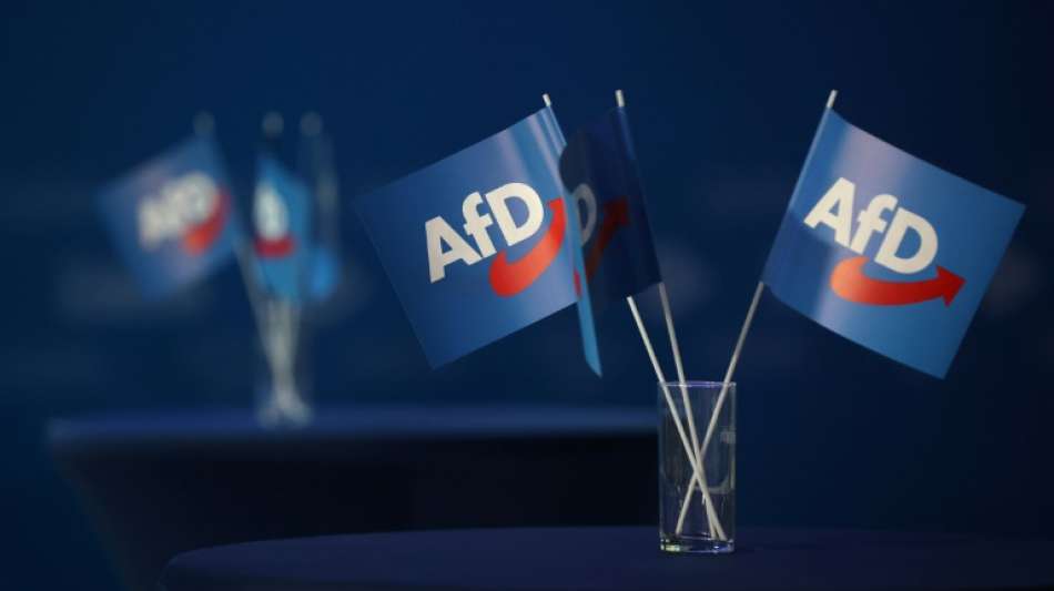 Widerstand in Bundestagsfraktionen gegen AfD-Kandidaten für Ausschuss-Spitzen