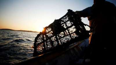Fischereistreit zwischen Frankreich und Großbritannien spitzt sich weiter zu