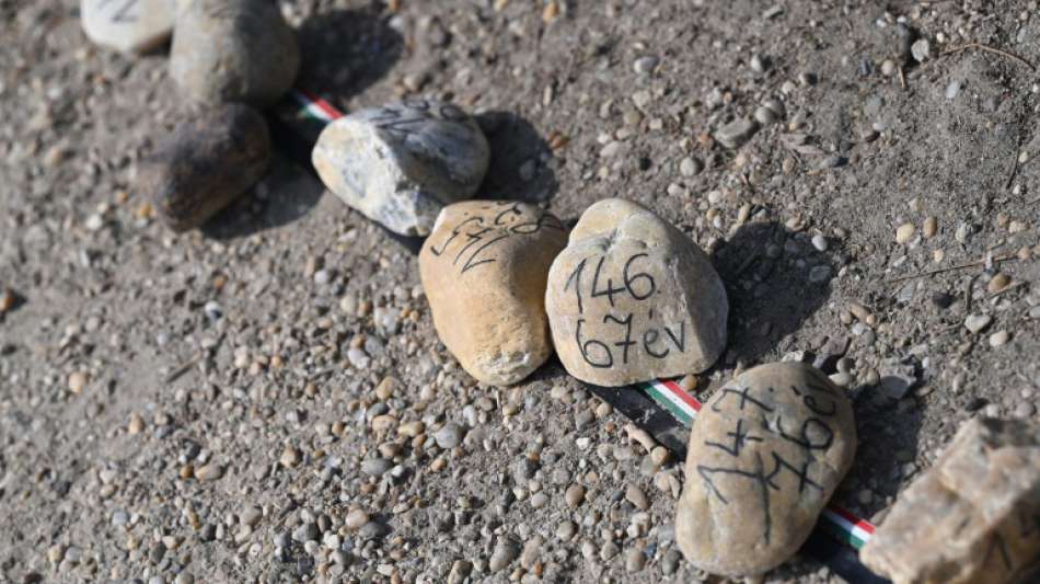 Oppositionspartei gedenkt Corona-Toten in Ungarn mit 20.000 Kieselsteinen