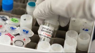 US-Behörde dämpft Hofffnung auf schnelle Zulassung von Corona-Impfstoff