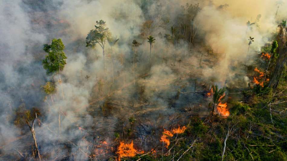 Amazonas-Brände erreichen im August zweithöchsten Wert in zehn Jahren