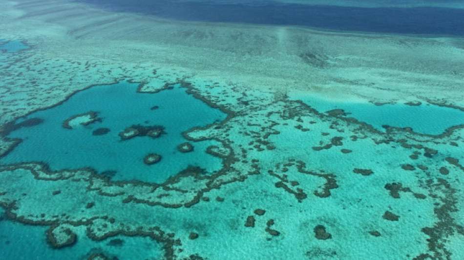 Schnorcheln gegen die Einstufung des Great Barrier Reef als gef&auml;hrdetes Welterbe