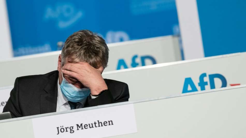 Meuthen tritt nicht erneut als AfD-Bundesvorsitzender an