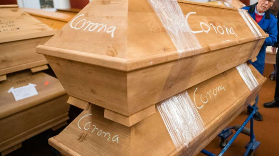 Steinmeier ruft zu Aktion "Lichtfenster" f&uuml;r Corona-Tote auf