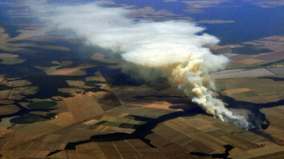 Britische Studie: "Verheerende" Folgen des Wirtschaftswachstums für die Natur