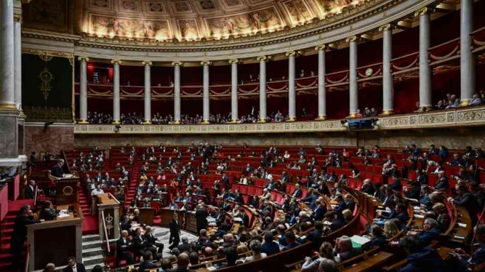 Abstimmung über deutsch-französische Parlamentsversammlung in Paris