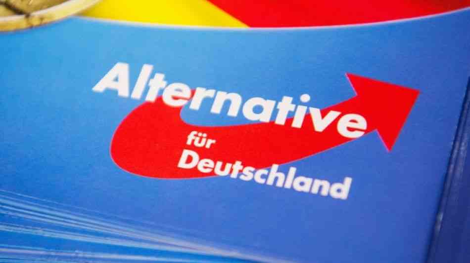 Großer AfD-Europaparteitag hat im sächsischen Riesa begonnen