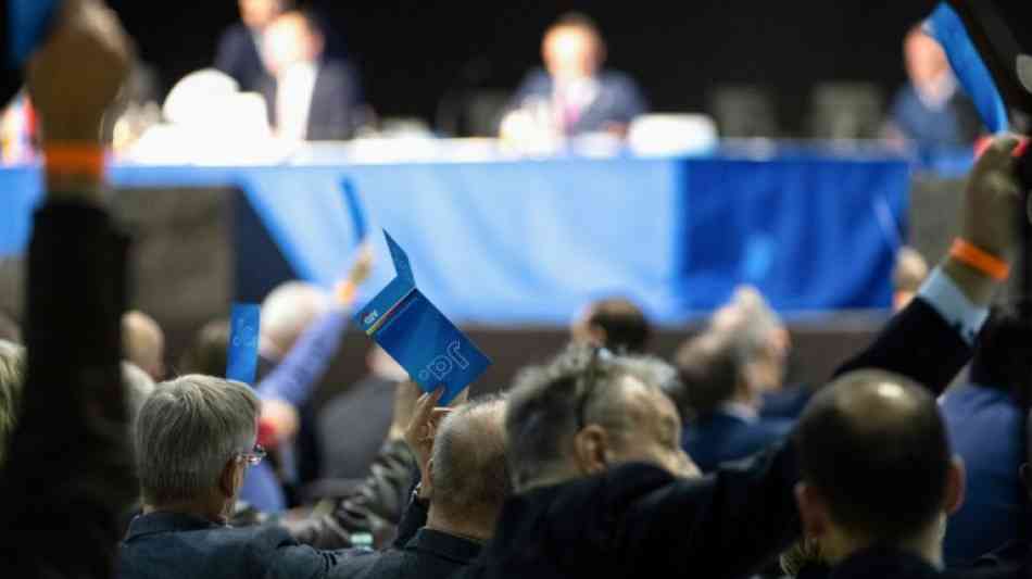 AfD: Forderung nach Abschaffung des EU-Parlaments im Europawahlkampf