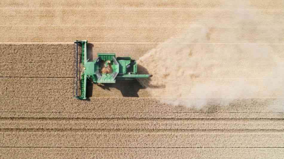 BUND und Böll-Stiftung fordern EU-Agrarpolitik mit Fokus auf kleineren Betriebe