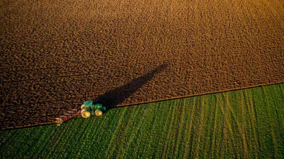 Bauern: Mit Fütterung und Gülleverwertung besserer Klimaschutz