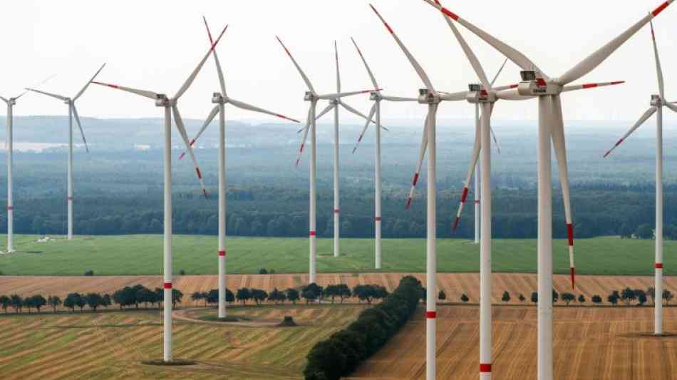 Energie: Deutschland erzielte Ökostrom-Rekord an Neujahr