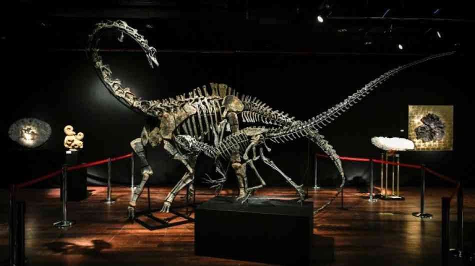 Dinosaurier-Skelette für jeweils mehr als 1,4 Millionen Euro versteigert