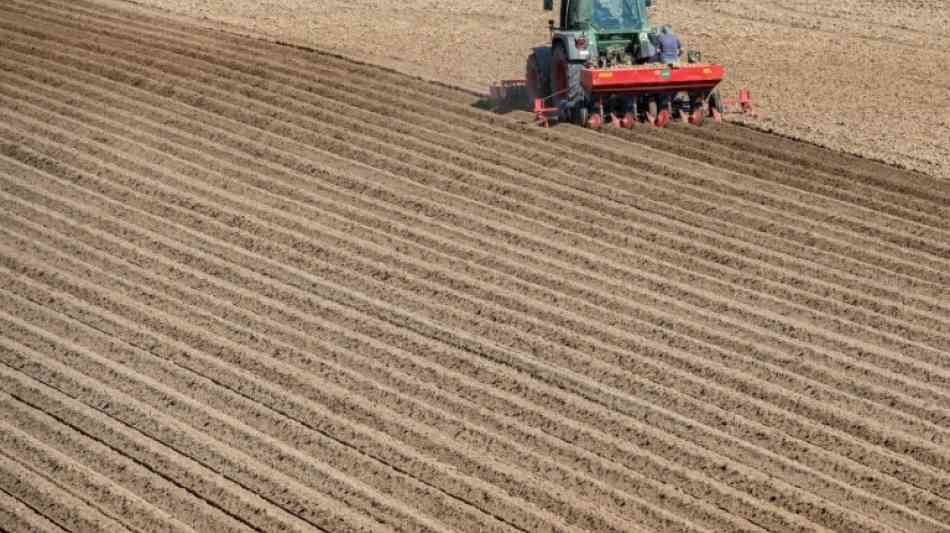 EU-Kommission will Landwirten Rücken stärken und unfaire Praktiken verbieten