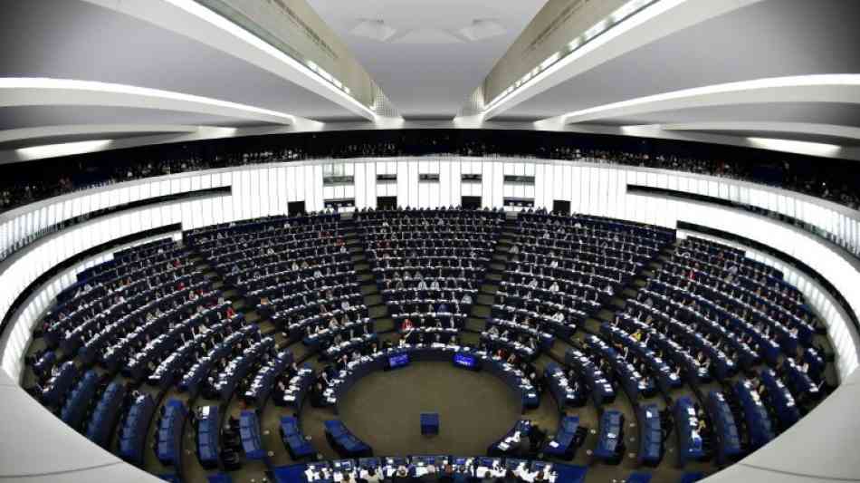 EU-Parlament gibt grünes Licht für Kontrollen ausländischer Investitionen