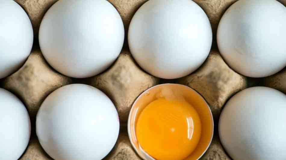 Deutsche Eierproduktion im vergangenen Jahr erneut gestiegen