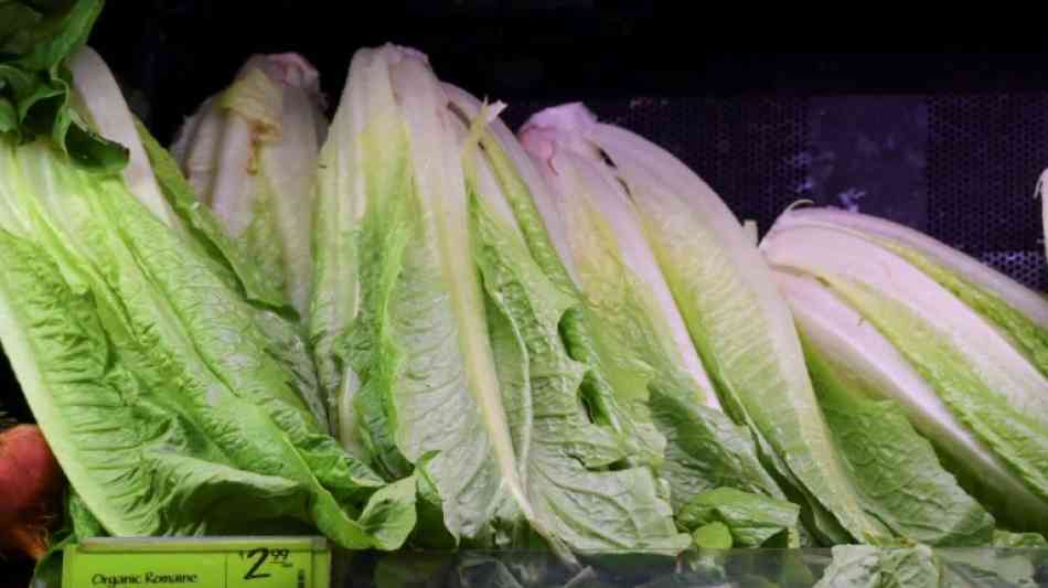Epidemie in den USA und Kanada durch bakterienverseuchten Salat 