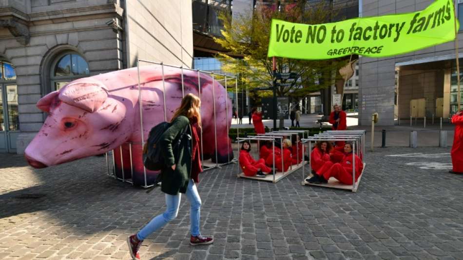 EU-Kommission will K&auml;fighaltung von Nutztieren ab 2027 beenden